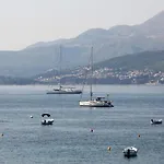 Vanda Seafront Fantastic *