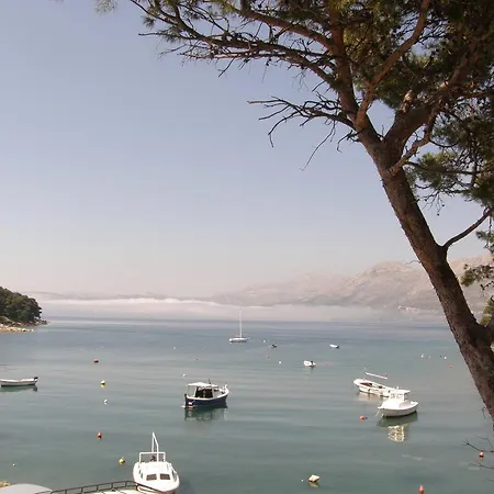 Vanda Seafront Fantastic *