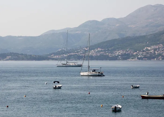 Vanda Seafront Fantastic *