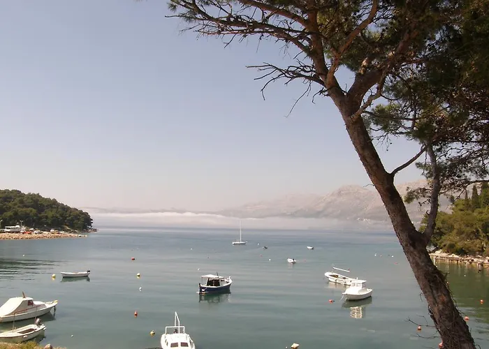 Vanda Seafront Fantastic *