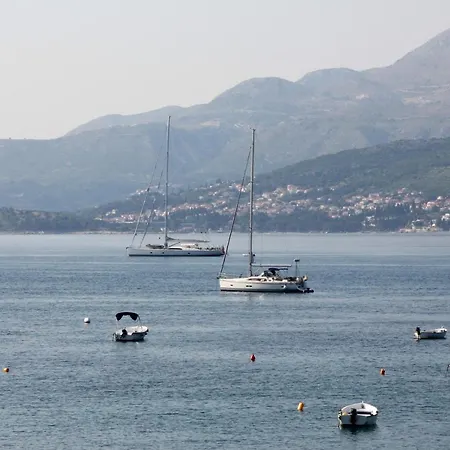 Vanda Seafront Fantastic *